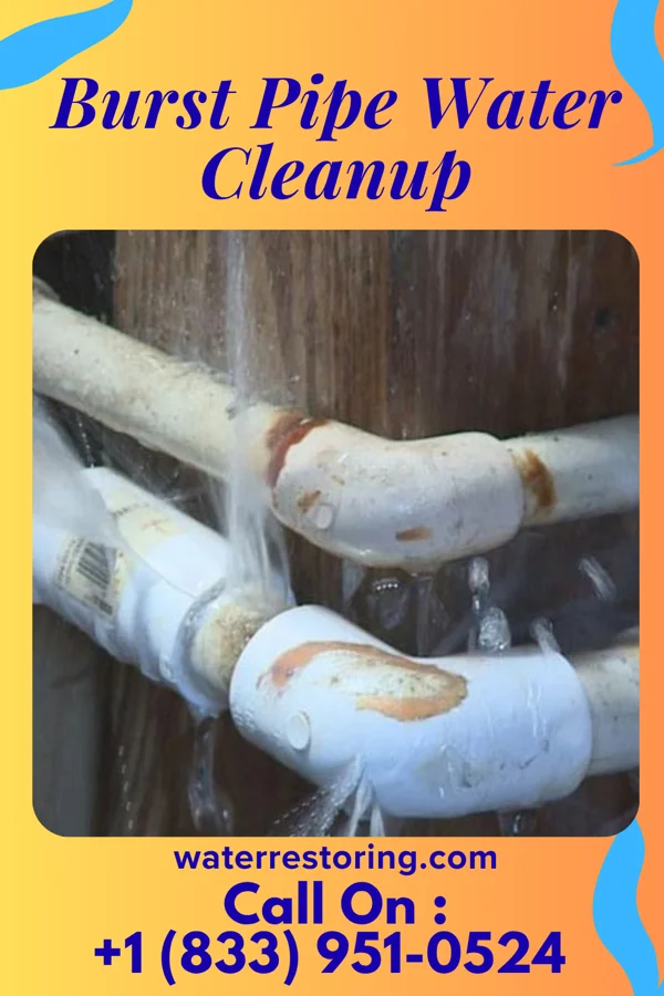 Burst Pipe Water Cleanup in Cloverdale, OH