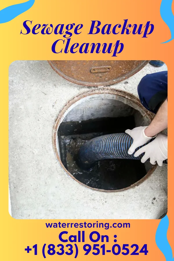 Sewage Backup Cleanup in Cloverdale, OH