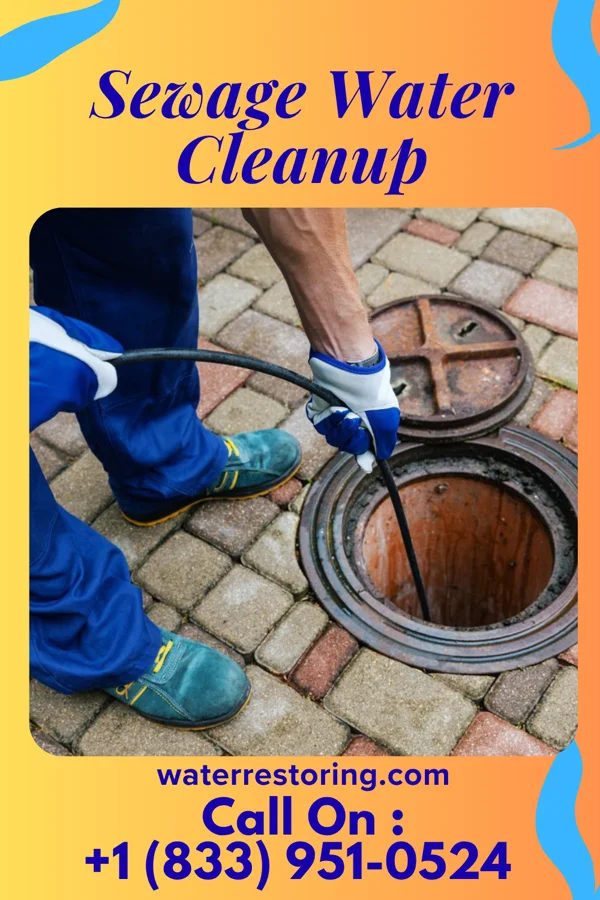 Sewage Water Cleanup in Cloverdale, OH