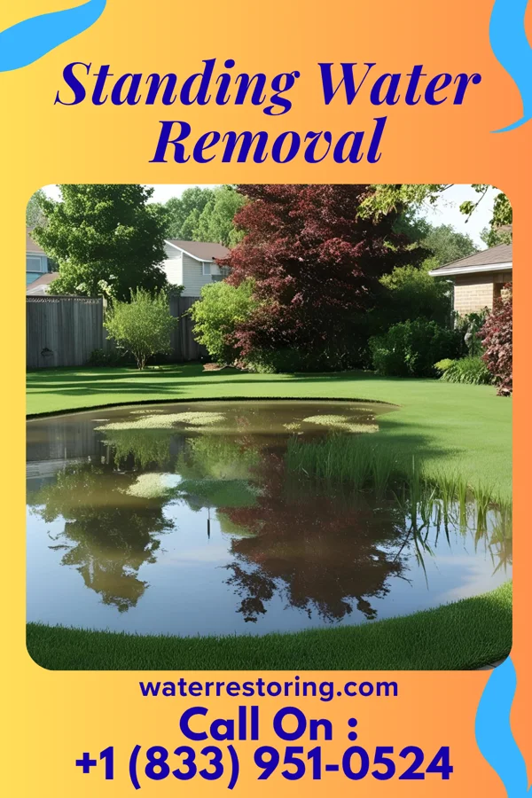 Standing Water Removal in Cloverdale, OH